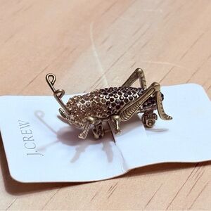 J crew cricket brooch